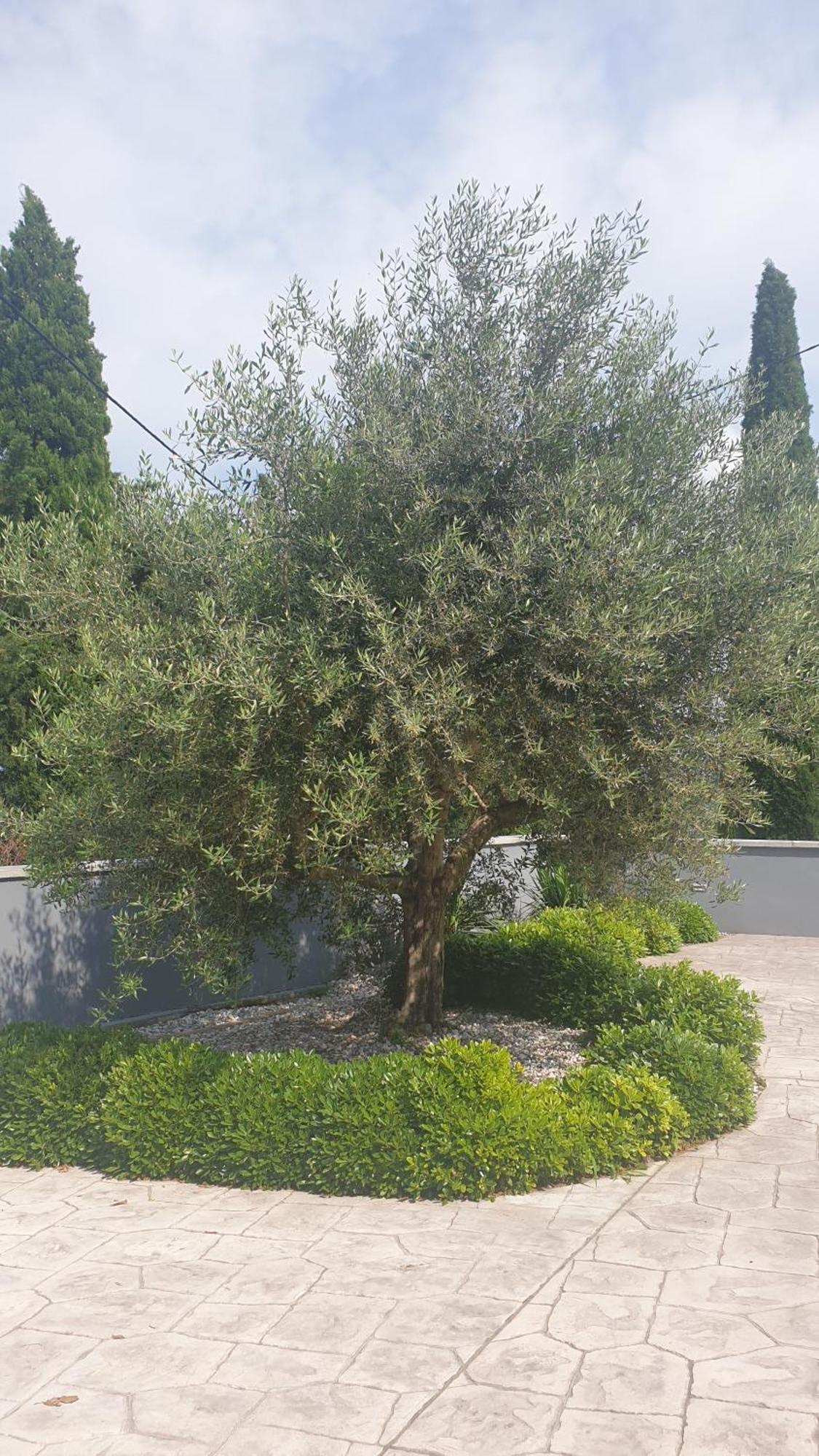 Apartma Pata, Koper - Cezarji Luaran gambar